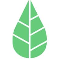 Cleanleaf Energy Logo